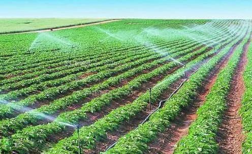 插逼网站免费农田高 效节水灌溉